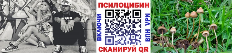 Купить  Ковдор  Галлюциногенные грибы мухоморы 